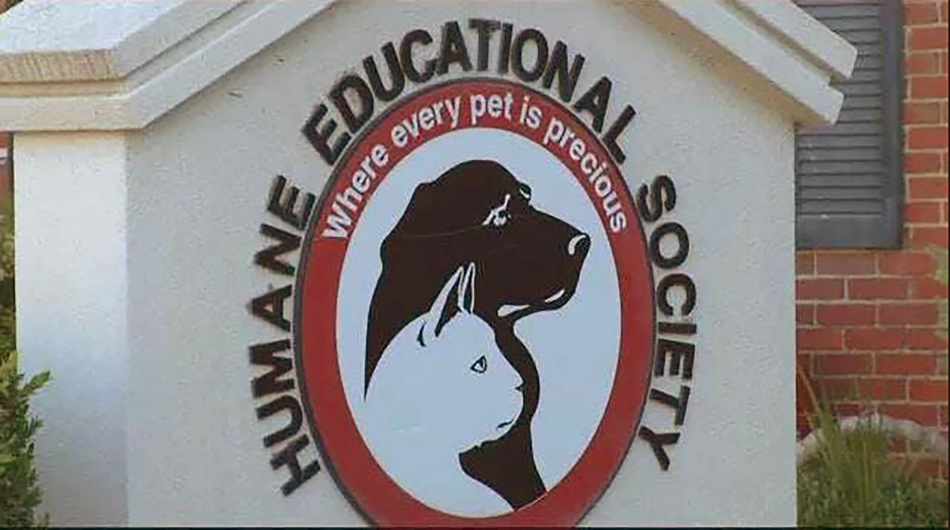 Humane Society extends free dog adoption offering